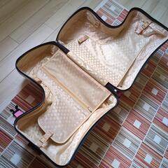 ［取引き中］乗れるキャリーケース　ノリッコの画像