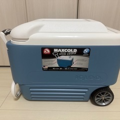【中古品】IGLOO MAXCOLD 38L クーラーボックスの画像