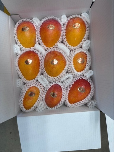 家庭用マンゴー