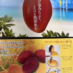 家庭用マンゴーの画像