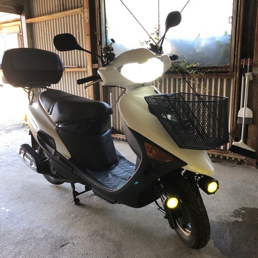 ヴェクスター150保険令和8年3月