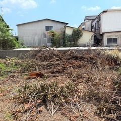木、竹、枝の引取り 見積依頼の画像
