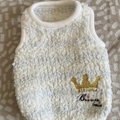 超小型犬　赤ちゃん時の洋服とハーネスの画像