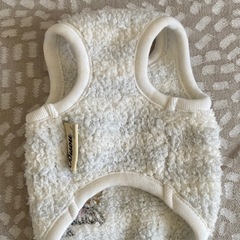 超小型犬　赤ちゃん時の洋服とハーネスの画像