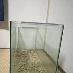 60cmオールガラス水槽 知多市or西尾市の画像