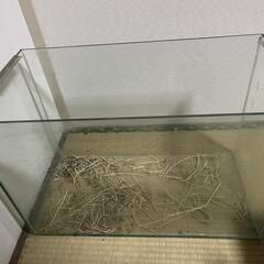 60cmオールガラス水槽 知多市or西尾市の画像