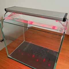 Gex 水槽&LED ライトの画像