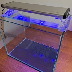 Gex 水槽&LED ライトの画像
