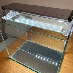 Gex 水槽&LED ライトの画像