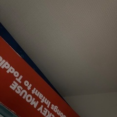 ミッキーバウンサーの画像