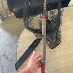 タモの画像