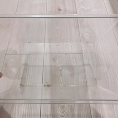 【美品】プラケース（虫カゴ）の画像