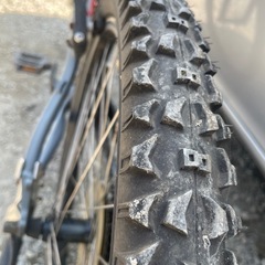 自転車 MINERVAの画像