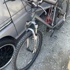 自転車 MINERVAの画像