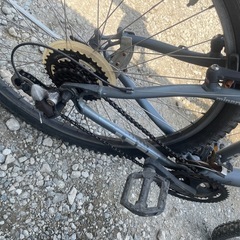 自転車 MINERVAの画像