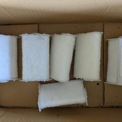 熱帯魚　用品の画像