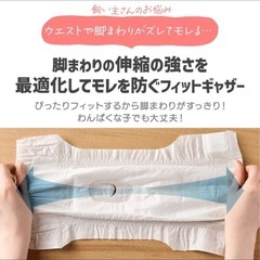 犬　　おむつ　　女の子用　10枚の画像