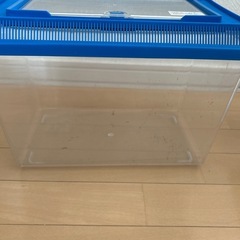 飼育ケースの画像