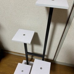 フラワースタンド、観葉植物の画像