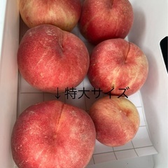 レア❗️特大桃🍑数量限定❗️の画像