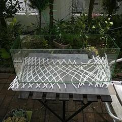 水槽の画像