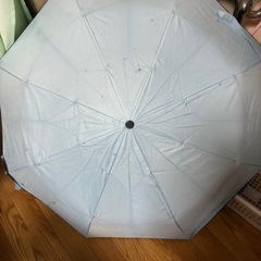 晴雨兼用折笠の画像