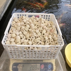 濾過材/メダカ/錦鯉/金魚/熱帯魚の画像