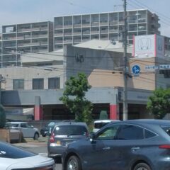 オオクワガタ　大型血統保育容器の画像