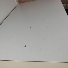 長い机の画像