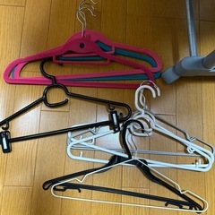 ハンガー30本の画像