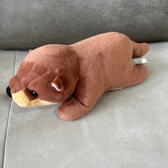ぬいぐるみの画像