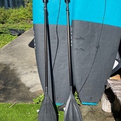 サップ　MAMBO SUP の画像