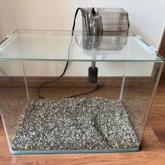 観賞魚用水槽
の画像