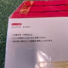 スヌーピー　ピンバッジの画像