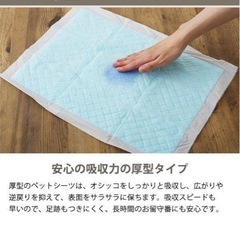 ペットシーツ　厚型　残り9割の画像