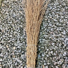 竹ぼうきの画像