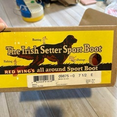 Red Wingブーツの画像