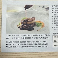 IL PINORO VIP OASIS チケット 1名様無料券の画像