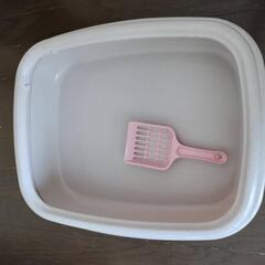 子猫、猫用トイレの画像