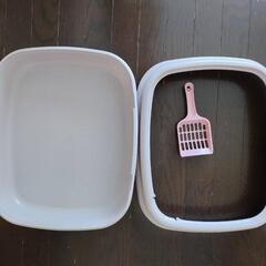 子猫、猫用トイレの画像
