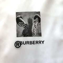 BURBBRRY バーバリー Tシャツ M 2020モンタージュゼブラ シマウマの画像