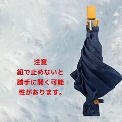 Water Front ジャンプ傘 S_414の画像