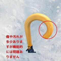 Water Front ジャンプ傘 S_414の画像