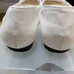 白　メッシュ　パンプス　24.5の画像