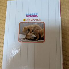 本日引取限定の画像