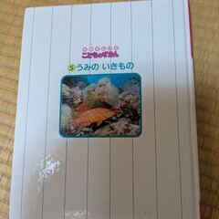 本日引取限定の画像