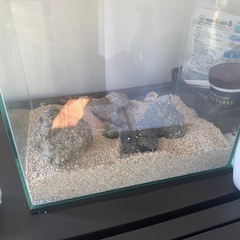 水槽の画像