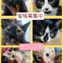 ☆家族になってください☆