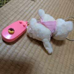 本日引取限定の画像