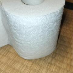 洗剤各種とトイレットペーパーの画像